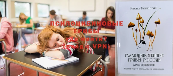 сатива Бронницы