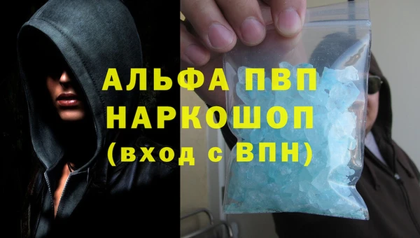 сатива Бронницы