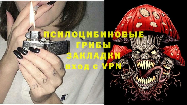 сатива Бронницы