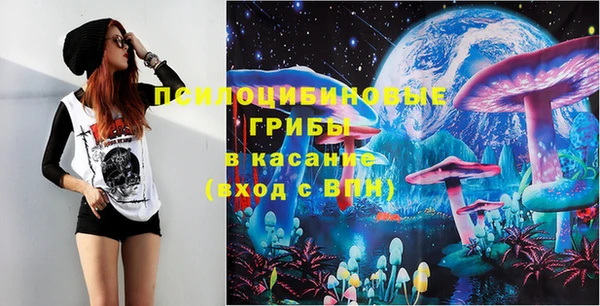 сатива Бронницы