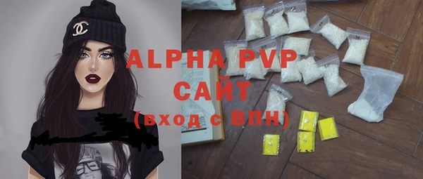 индика Бугульма