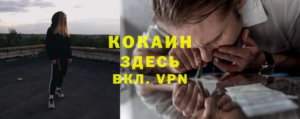 марки lsd Бородино