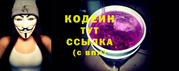 индика Бугульма