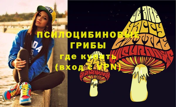 индика Бугульма
