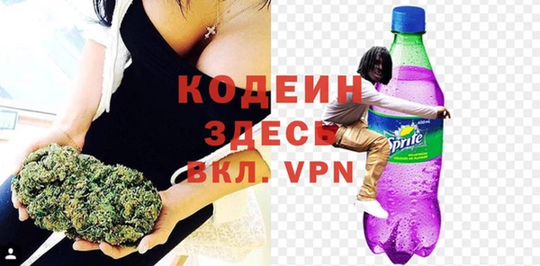 индика Бугульма
