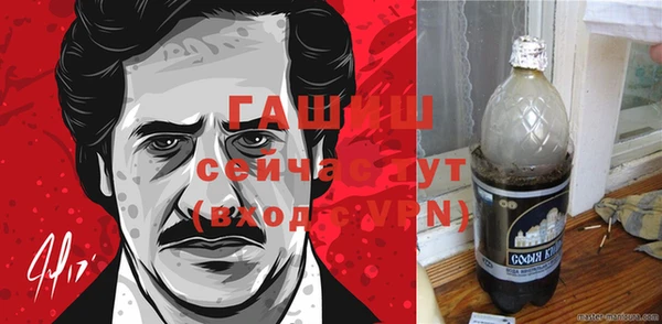 индика Бугульма